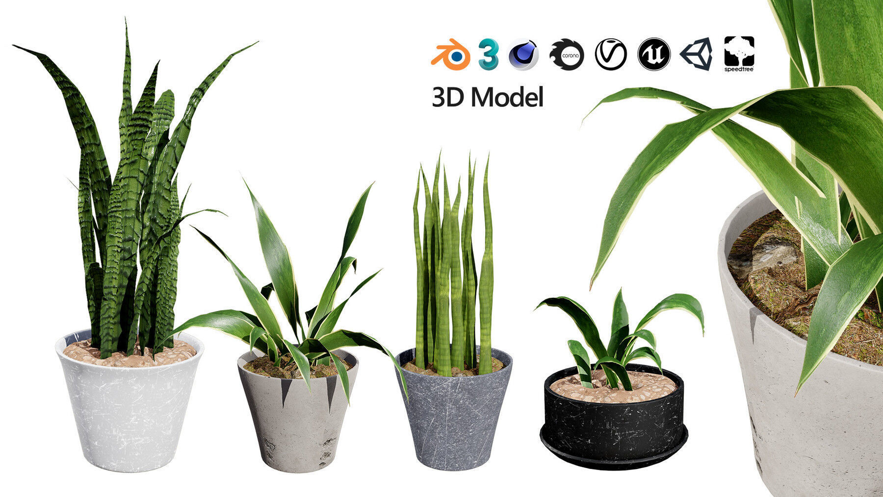 Potted Plant 3D Assets Collection Low-poly 3D model_23