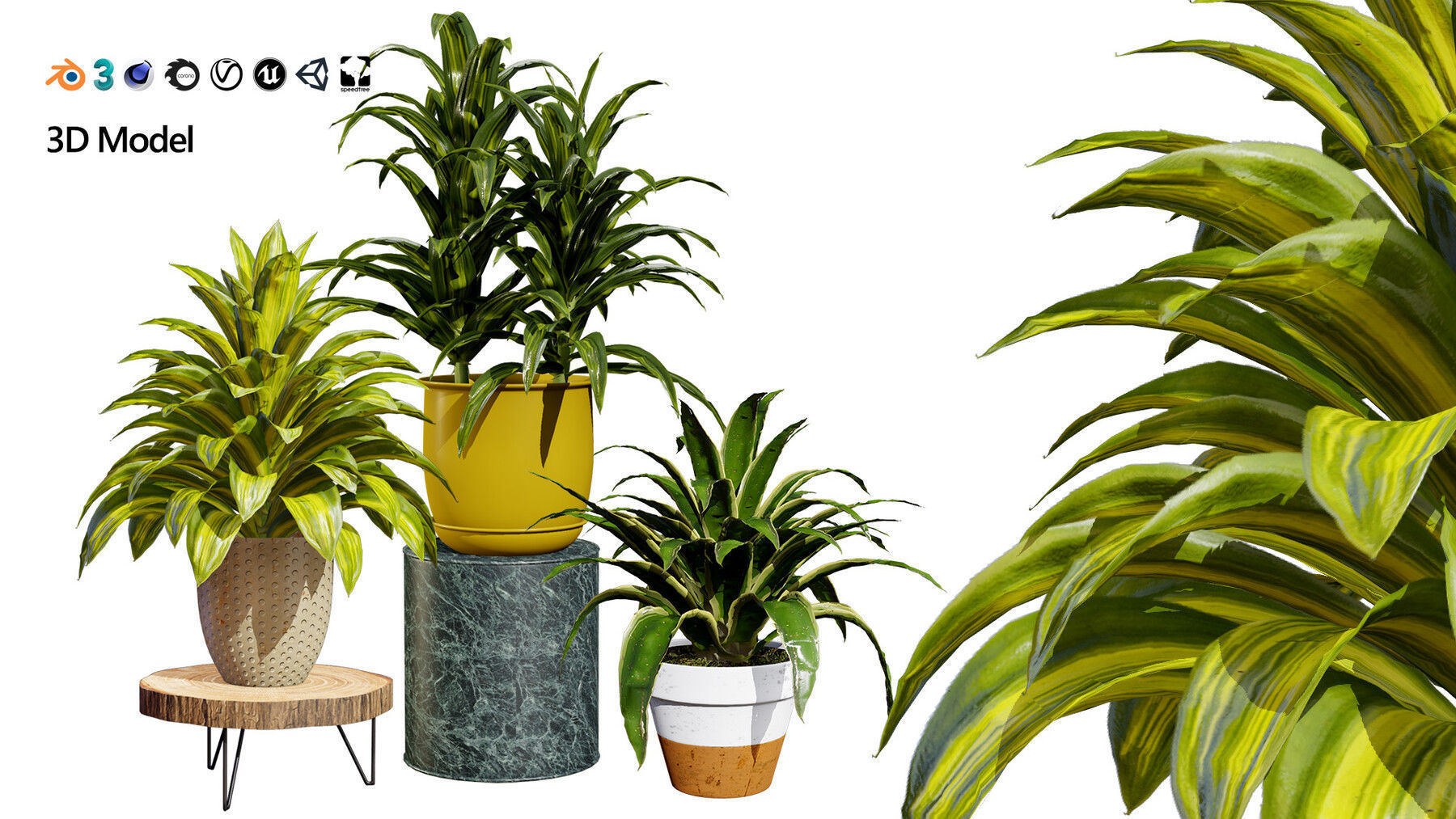 Potted Plant 3D Assets Collection Low-poly 3D model_33
