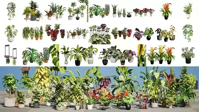 Potted Plant 3D Assets Collection Low-poly 3D model