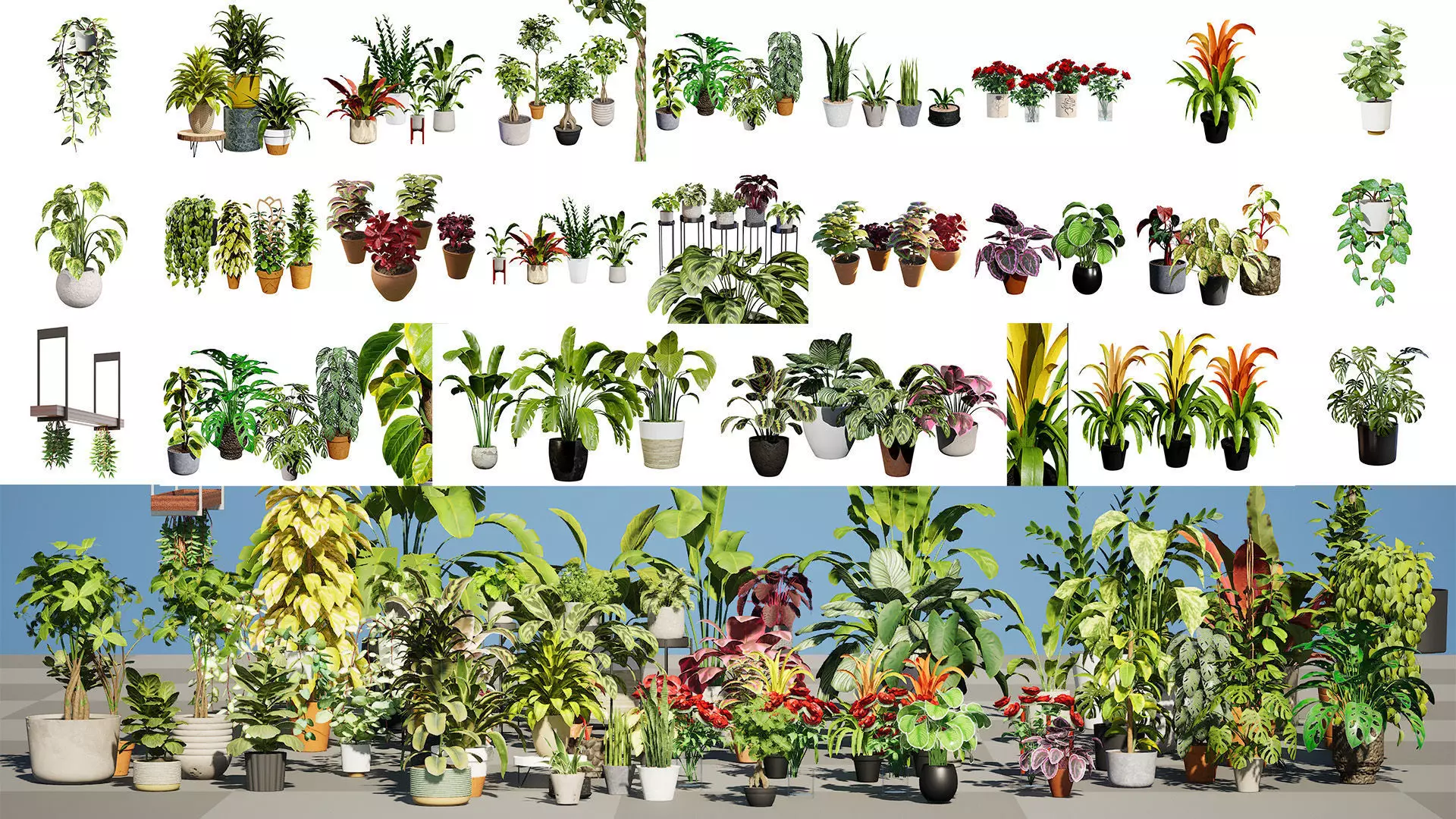 Potted Plant 3D Assets Collection Low-poly 3D model_0