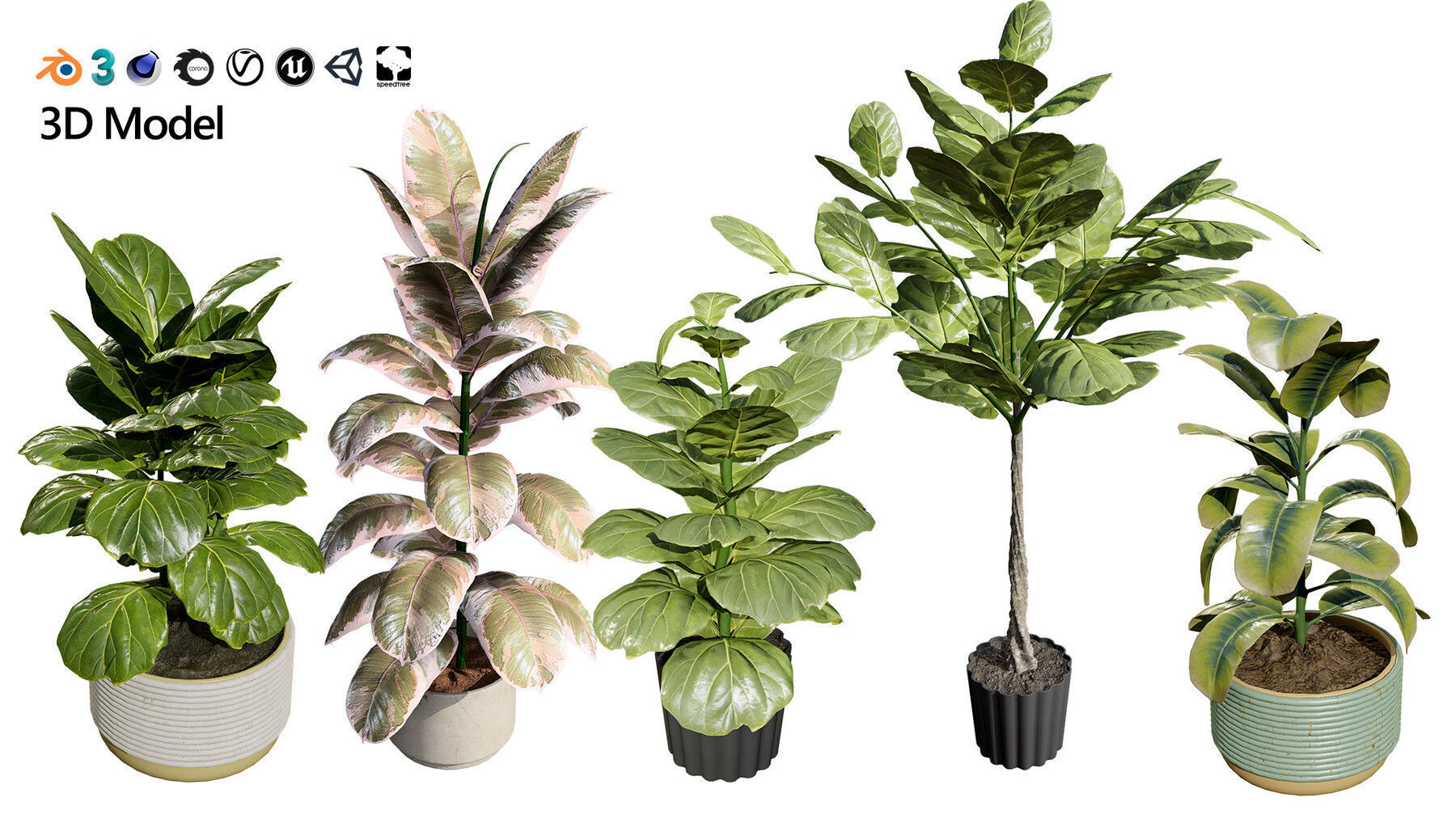 Potted Plant 3D Assets Collection Low-poly 3D model_27