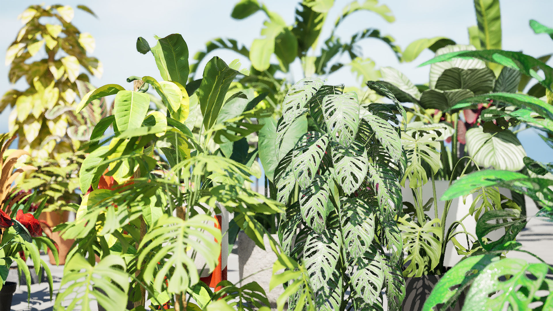 Potted Plant 3D Assets Collection Low-poly 3D model_7