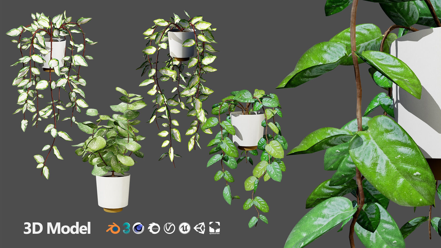 Potted Plant 3D Assets Collection Low-poly 3D model_17