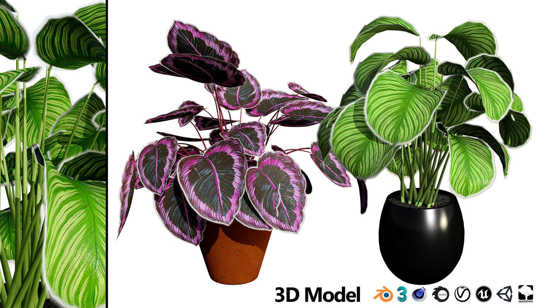 Potted Plant 3D Assets Collection Low-poly 3D model_19
