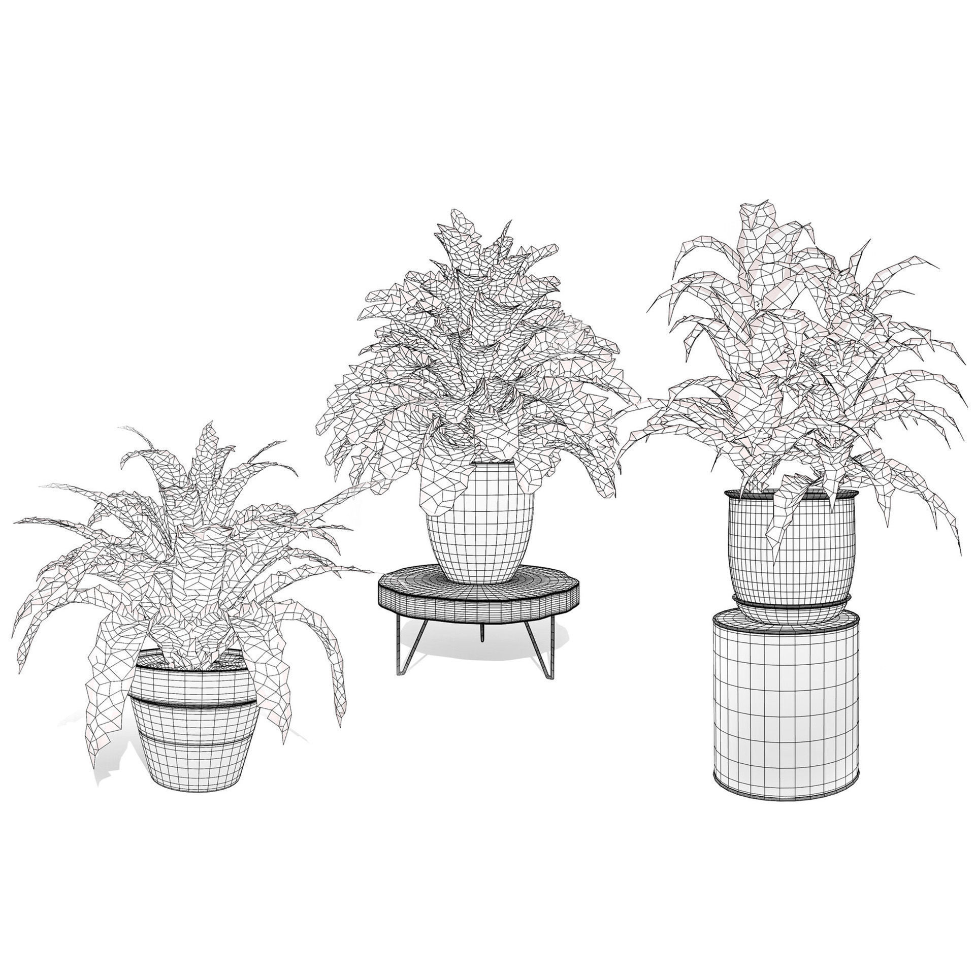 Potted Plant 3D Assets Collection Low-poly 3D model_4