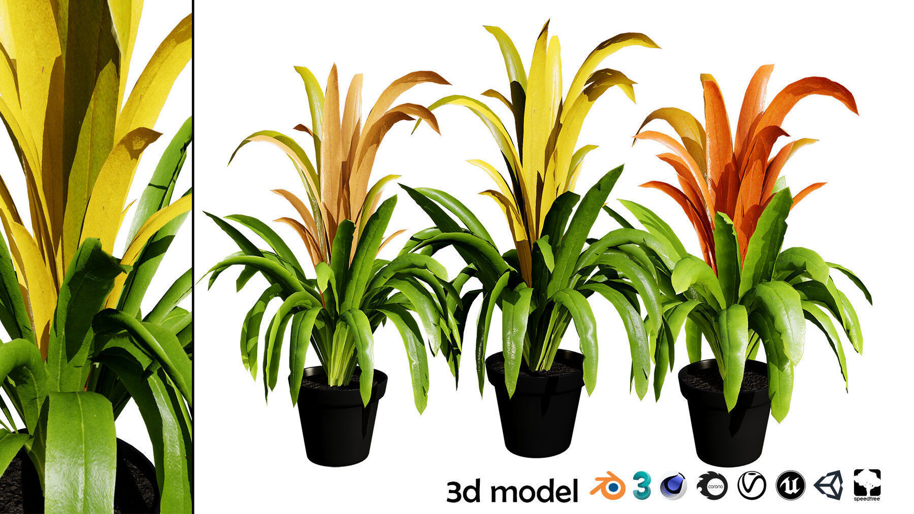 Potted Plant 3D Assets Collection Low-poly 3D model_21