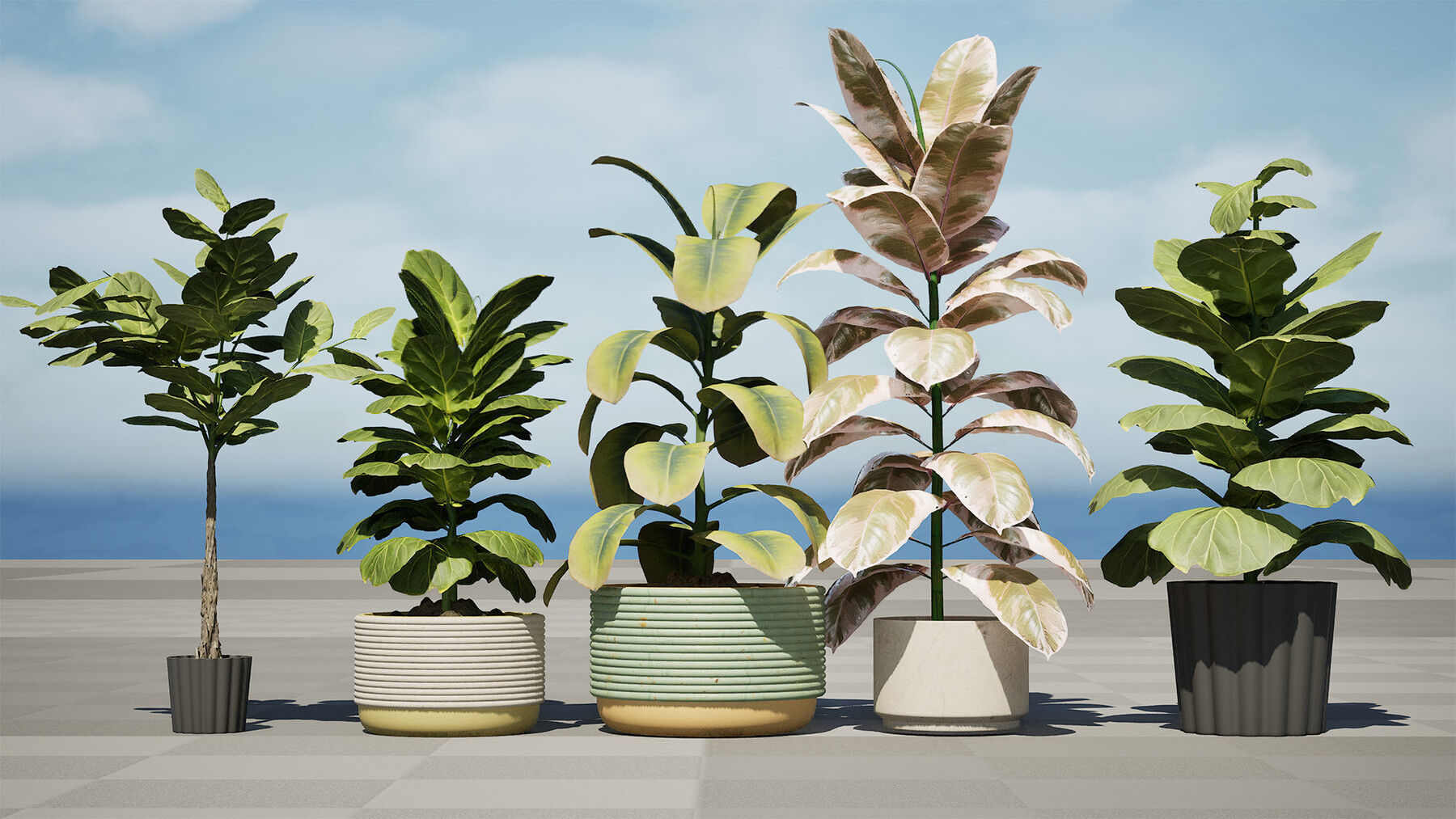 Potted Plant 3D Assets Collection Low-poly 3D model_5