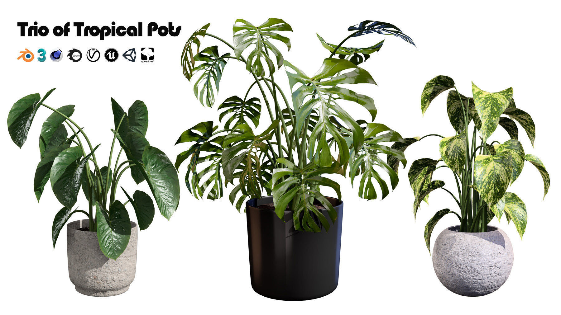 Potted Plant 3D Assets Collection Low-poly 3D model_18