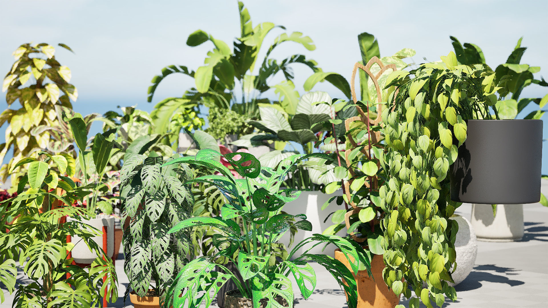 Potted Plant 3D Assets Collection Low-poly 3D model_3