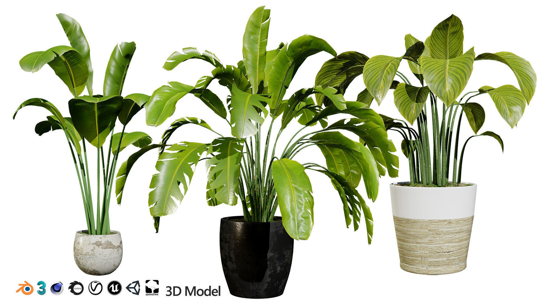 Potted Plant 3D Assets Collection Low-poly 3D model_30
