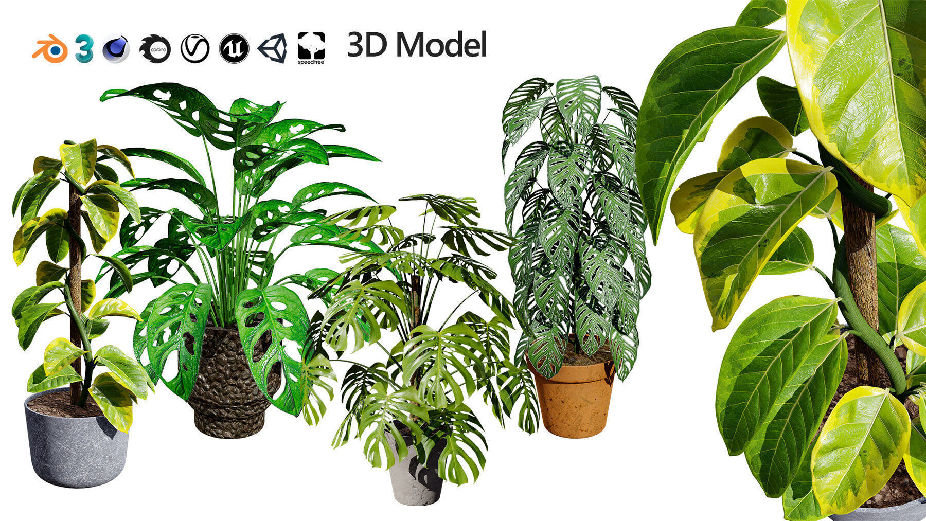 Potted Plant 3D Assets Collection Low-poly 3D model_22