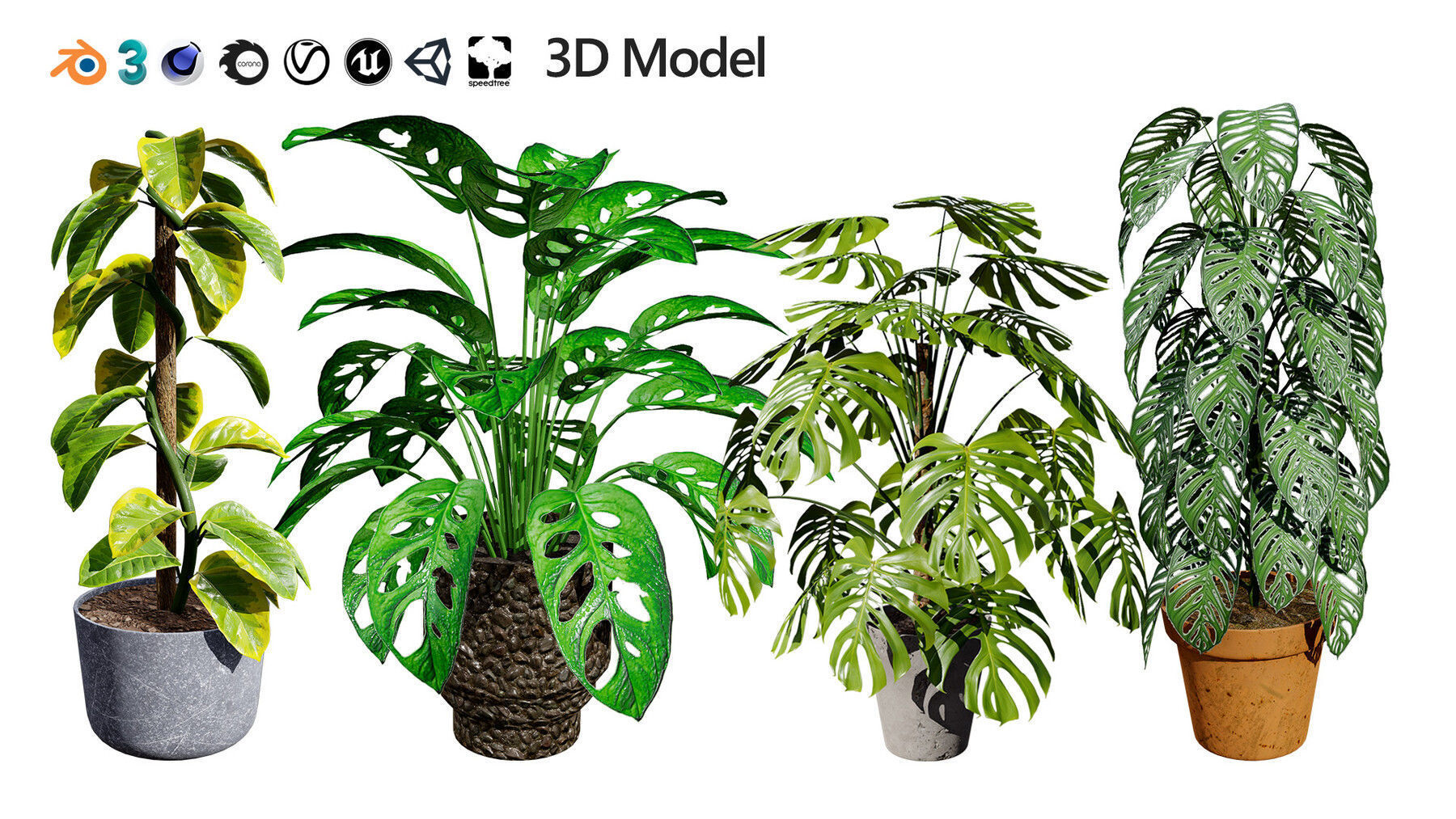 Potted Plant 3D Assets Collection Low-poly 3D model_29