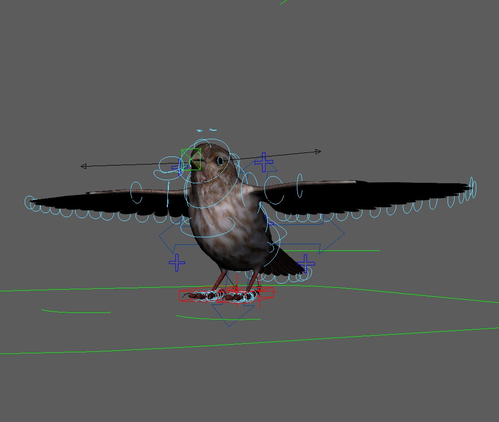 3D Bird Pack Purple Finch Male and Female Low-poly 3D model Low-poly 3D model_35