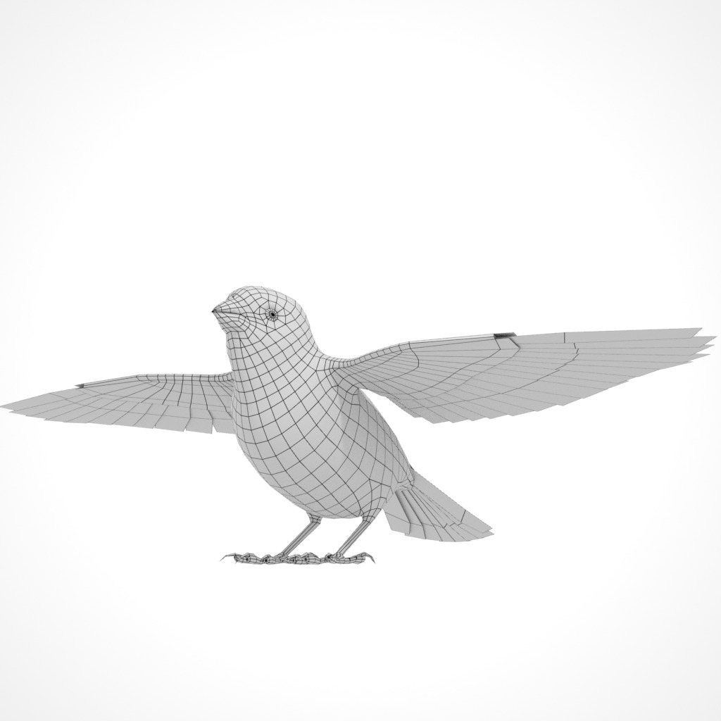 3D Bird Pack Purple Finch Male and Female Low-poly 3D model Low-poly 3D model_34