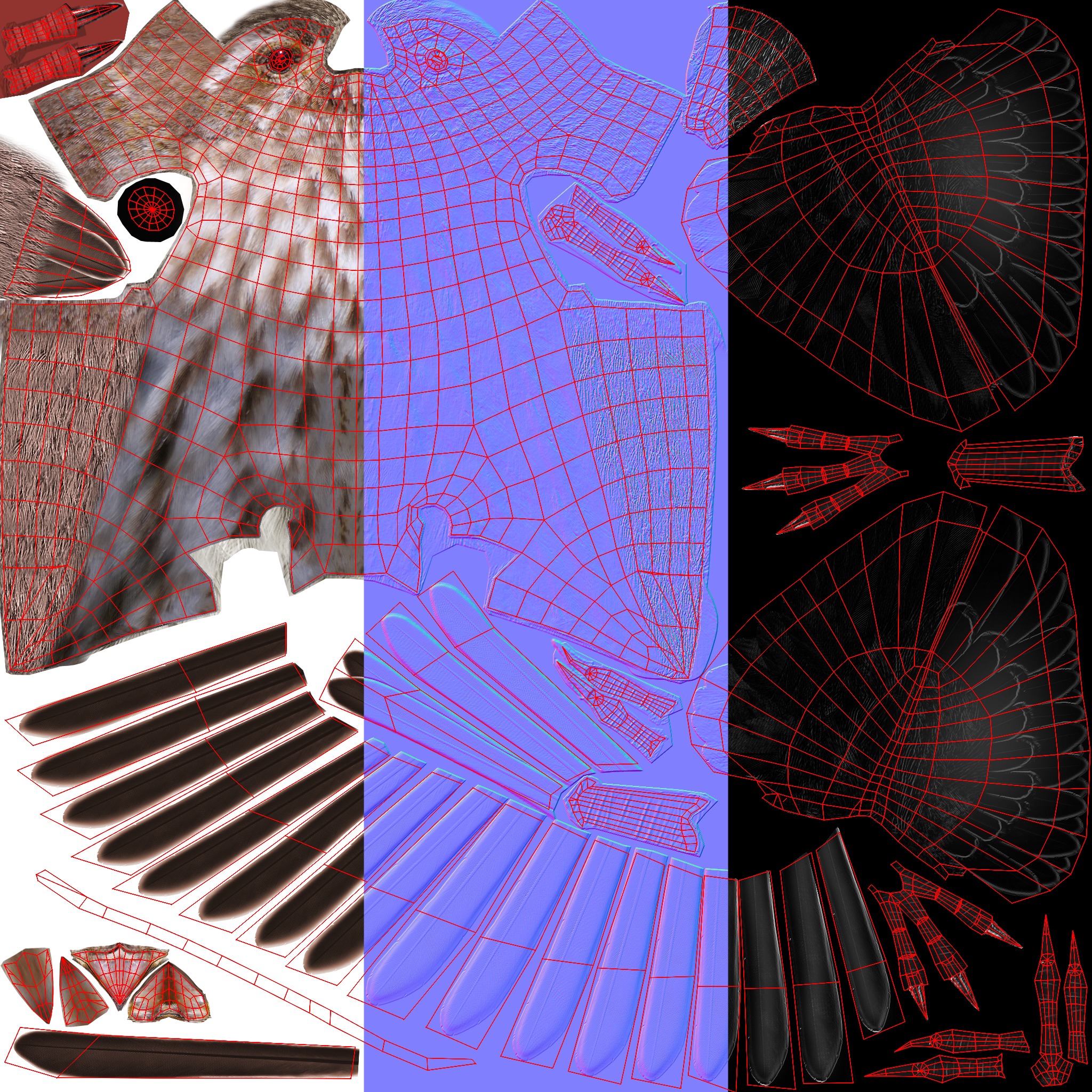 3D Bird Pack Purple Finch Male and Female Low-poly 3D model Low-poly 3D model_39