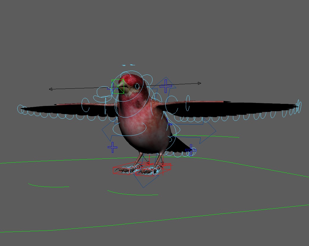 3D Bird Pack Purple Finch Male and Female Low-poly 3D model Low-poly 3D model_36