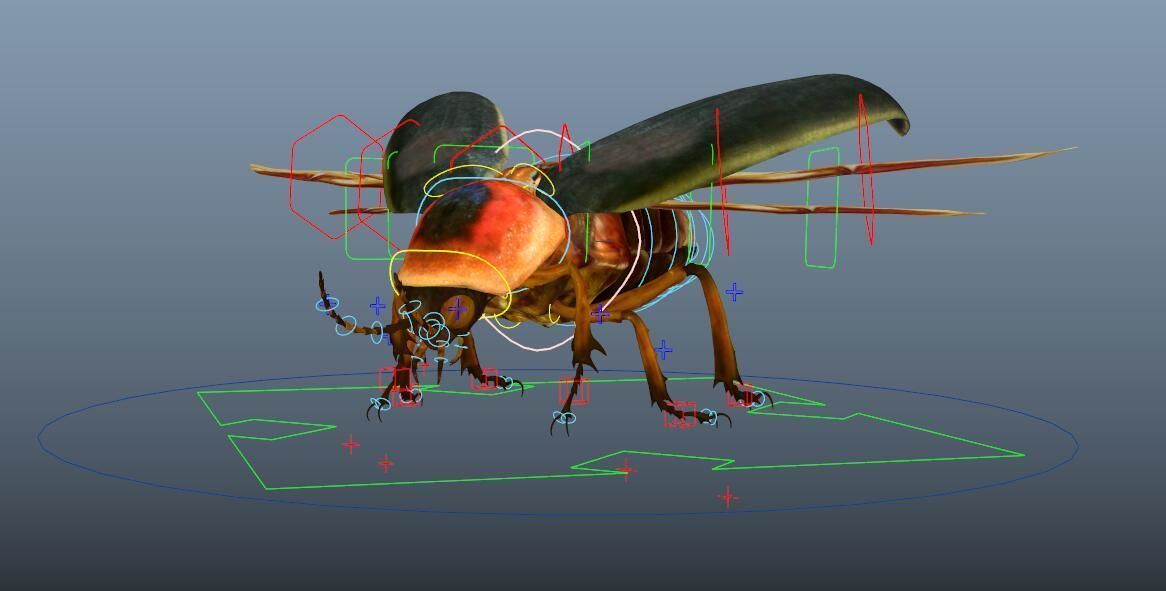 beetle 3D model_4