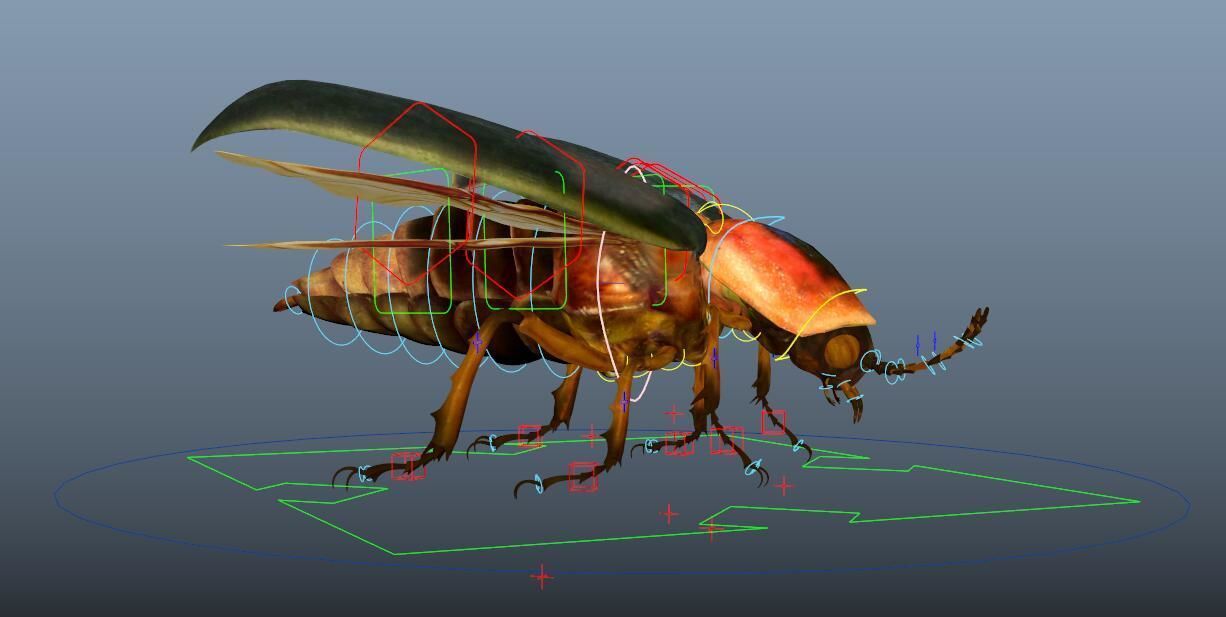 beetle 3D model_5