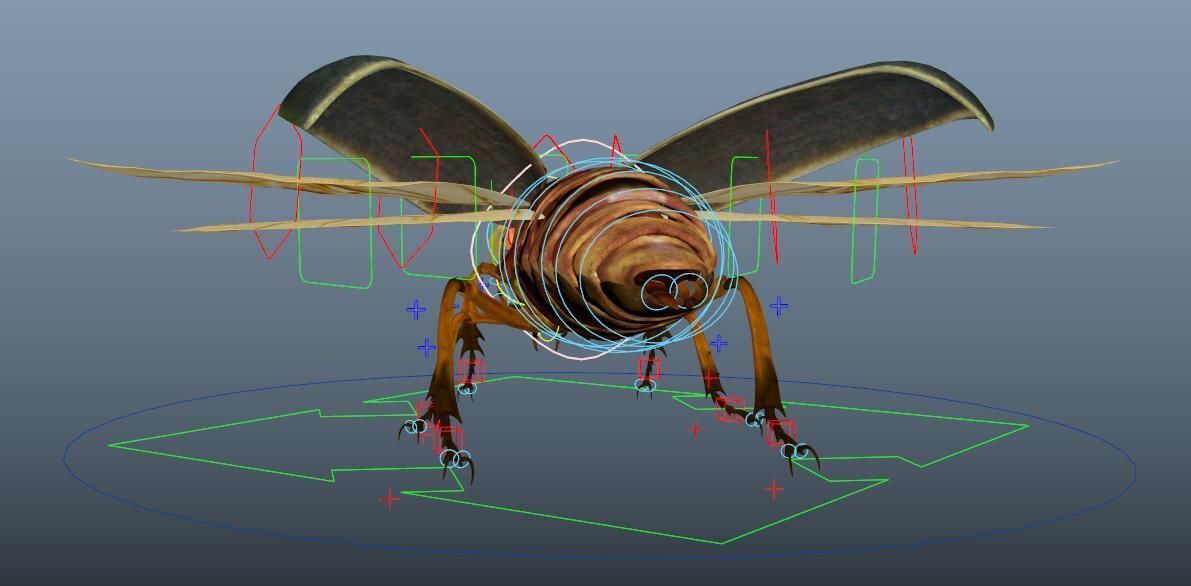beetle 3D model_6
