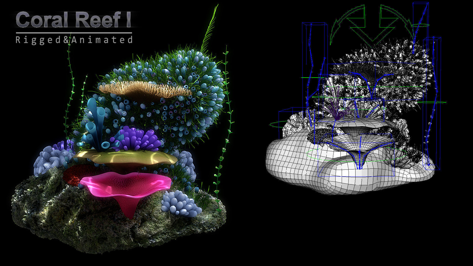 Cartoon Underwater Scene  Rigged Animated Blender  3D model_12