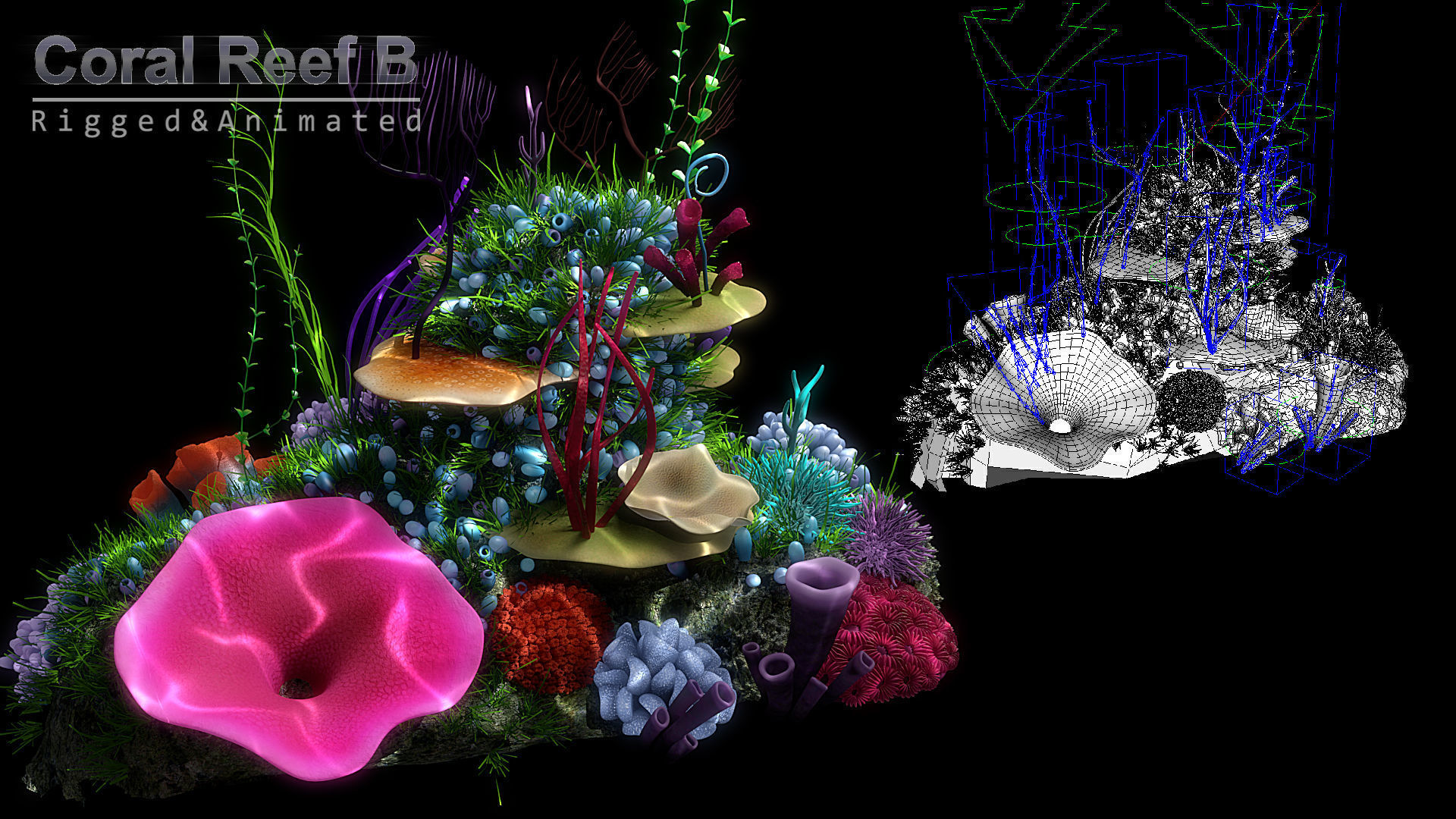 Cartoon Underwater Scene  Rigged Animated Blender  3D model_6