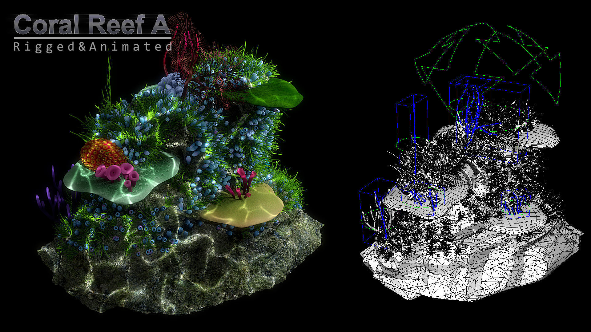Cartoon Underwater Scene  Rigged Animated Blender  3D model_5