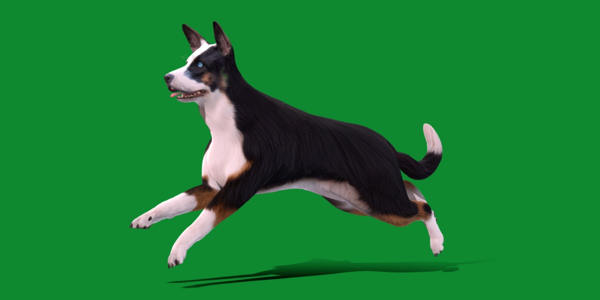 Panda German Shepherd Dog Low-poly 3D model_29