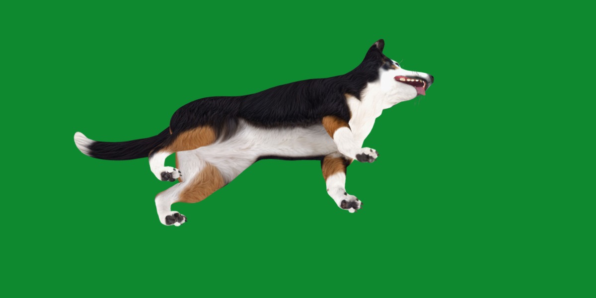 Panda German Shepherd Dog Low-poly 3D model_39