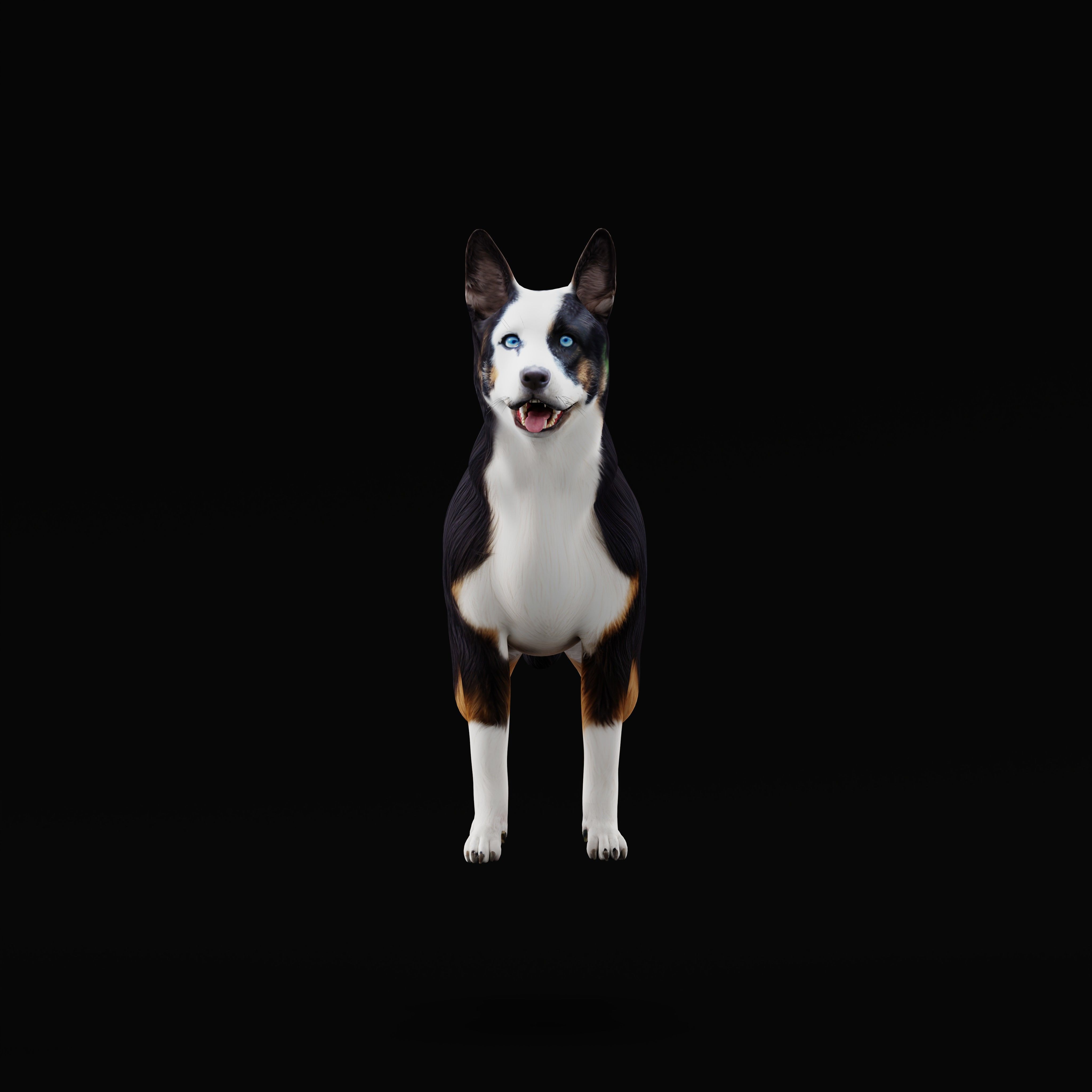 Panda German Shepherd Dog Low-poly 3D model_15