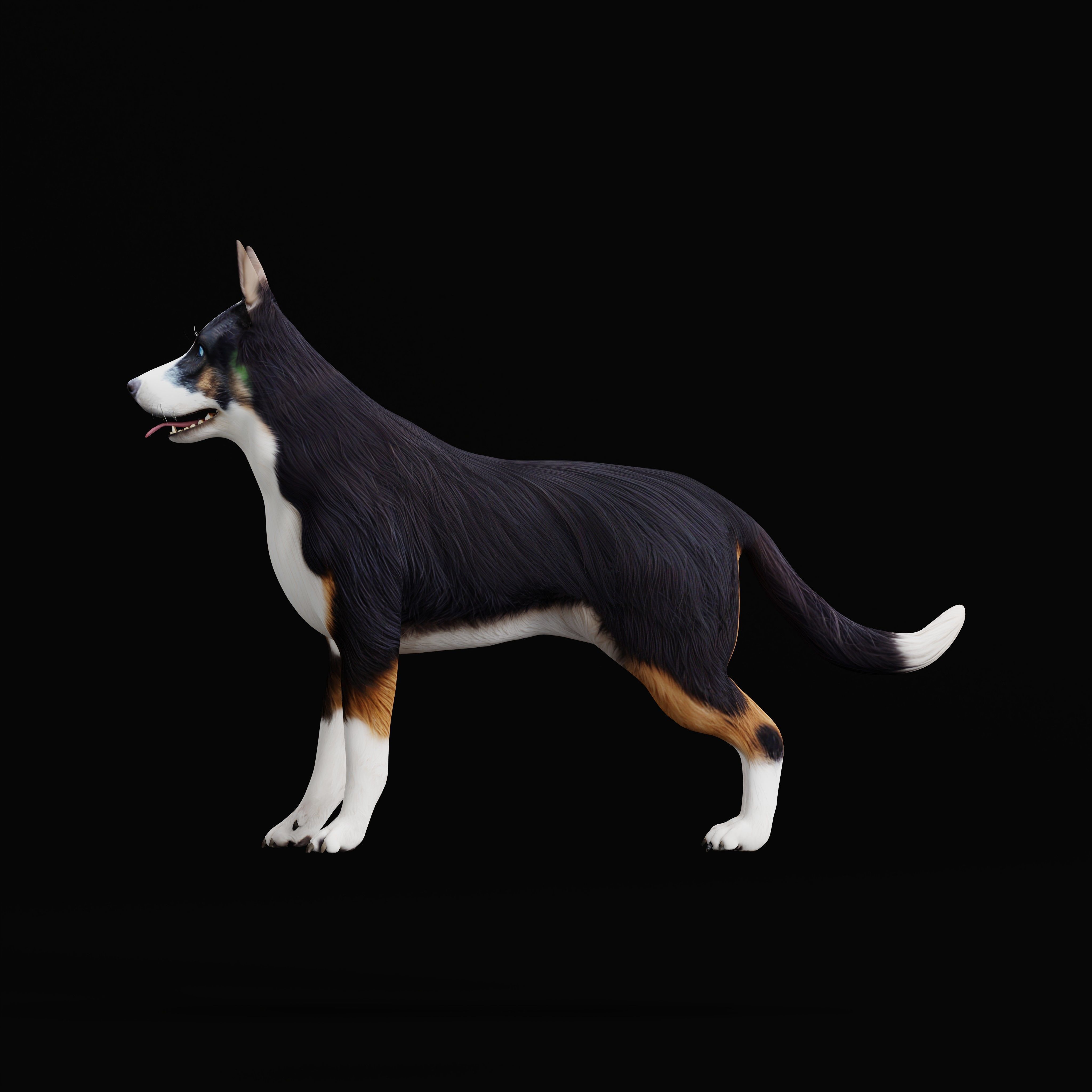 Panda German Shepherd Dog Low-poly 3D model_16