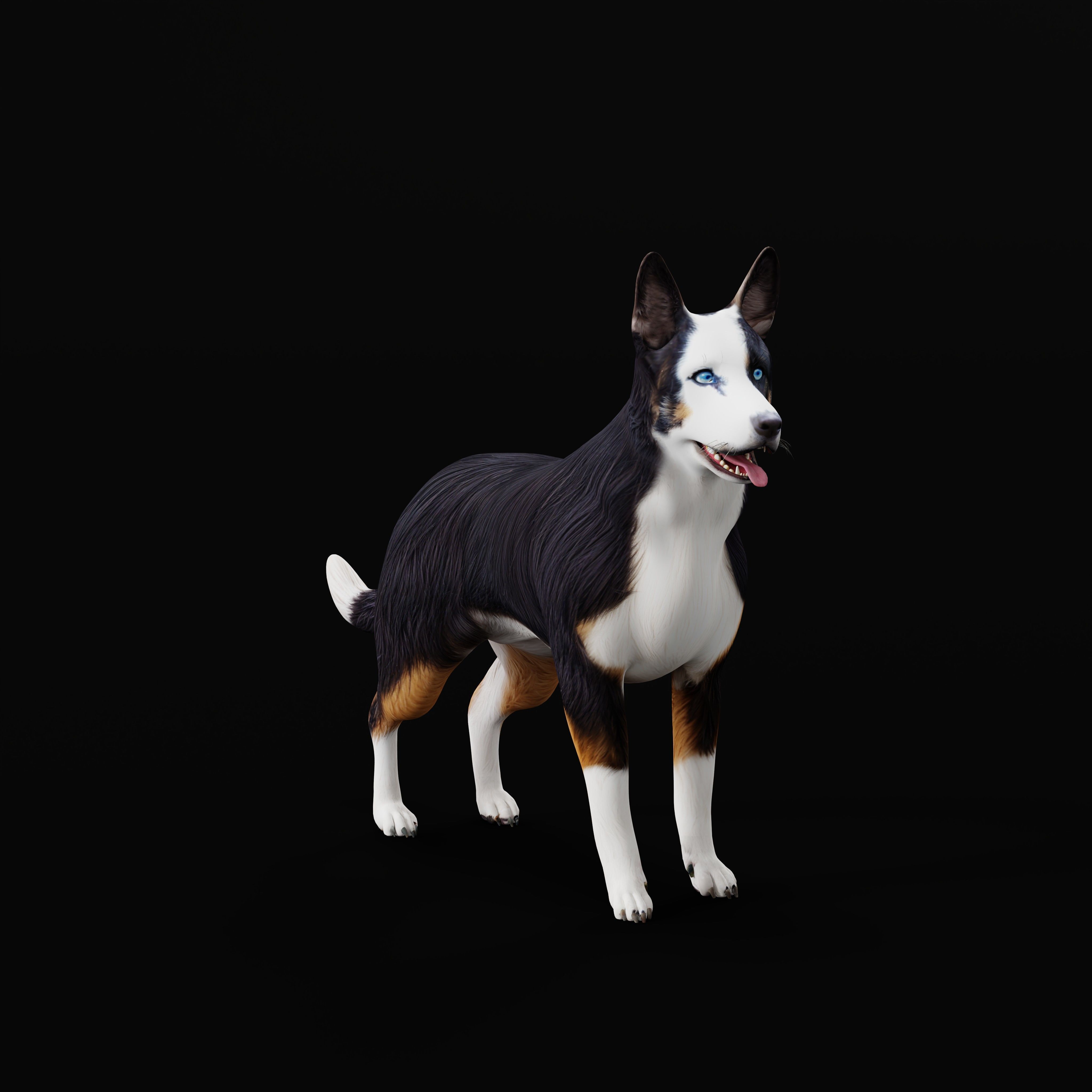 Panda German Shepherd Dog Low-poly 3D model_14