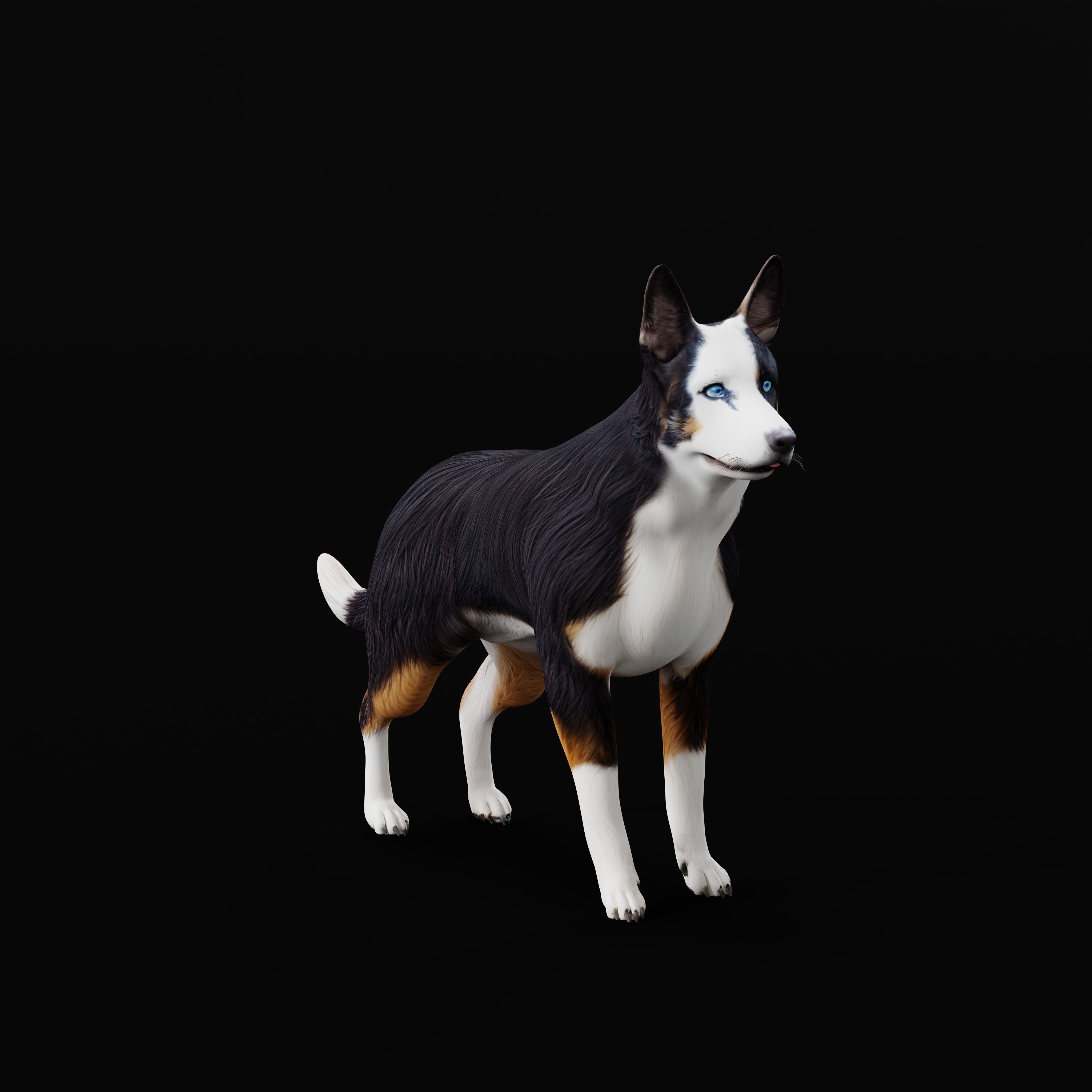 Panda German Shepherd Dog Low-poly 3D model_13