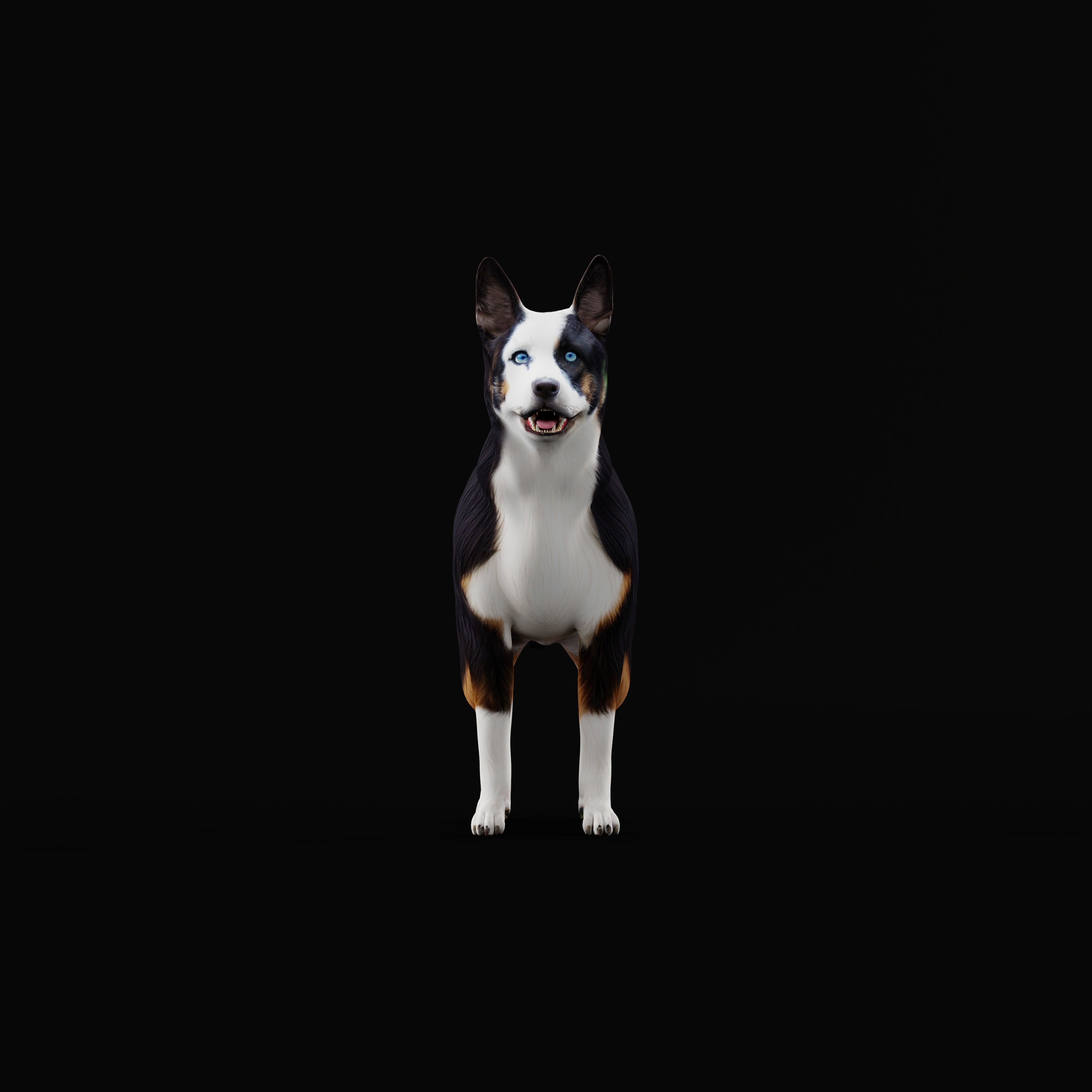 Panda German Shepherd Dog Low-poly 3D model_10