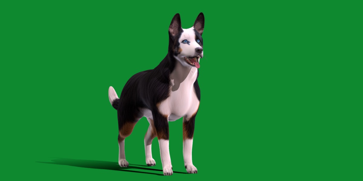 Panda German Shepherd Dog Low-poly 3D model_34
