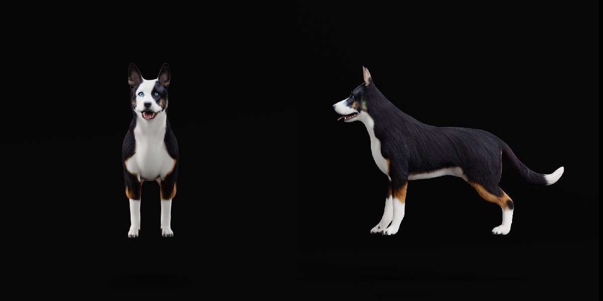Panda German Shepherd Dog Low-poly 3D model_6