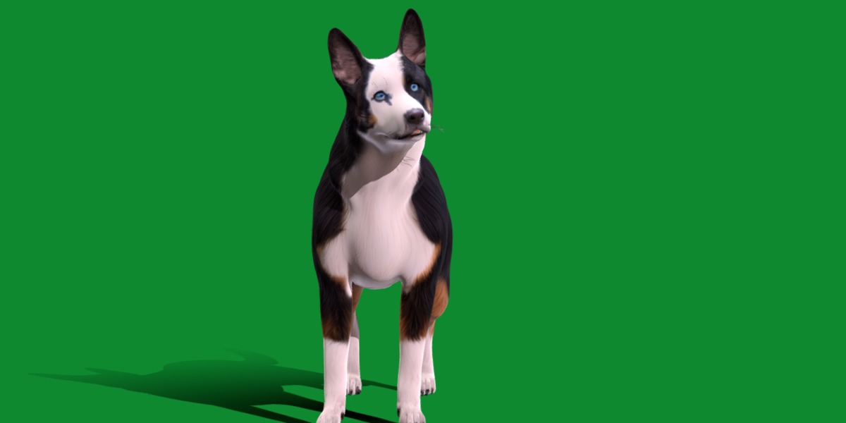 Panda German Shepherd Dog Low-poly 3D model_31