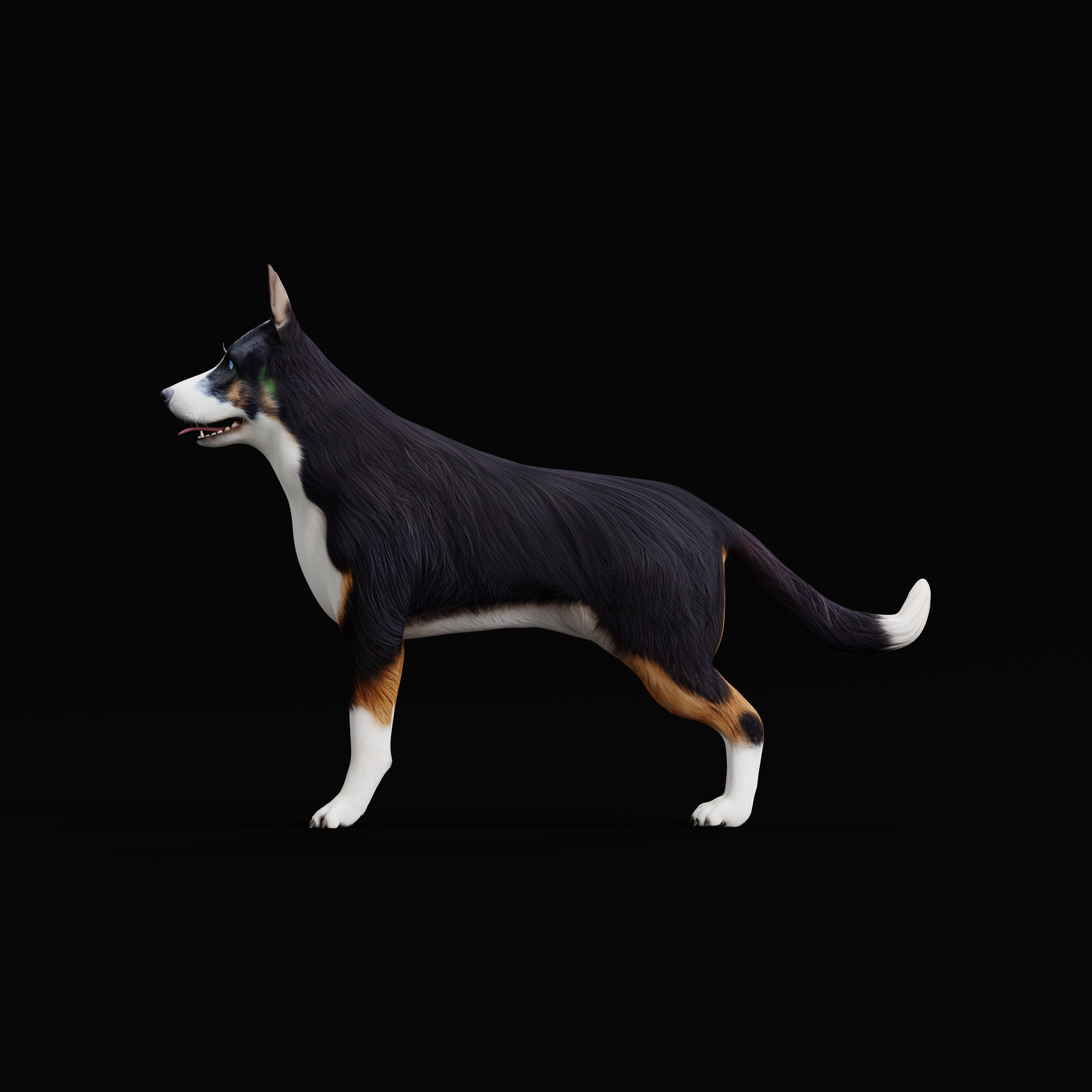 Panda German Shepherd Dog Low-poly 3D model_11