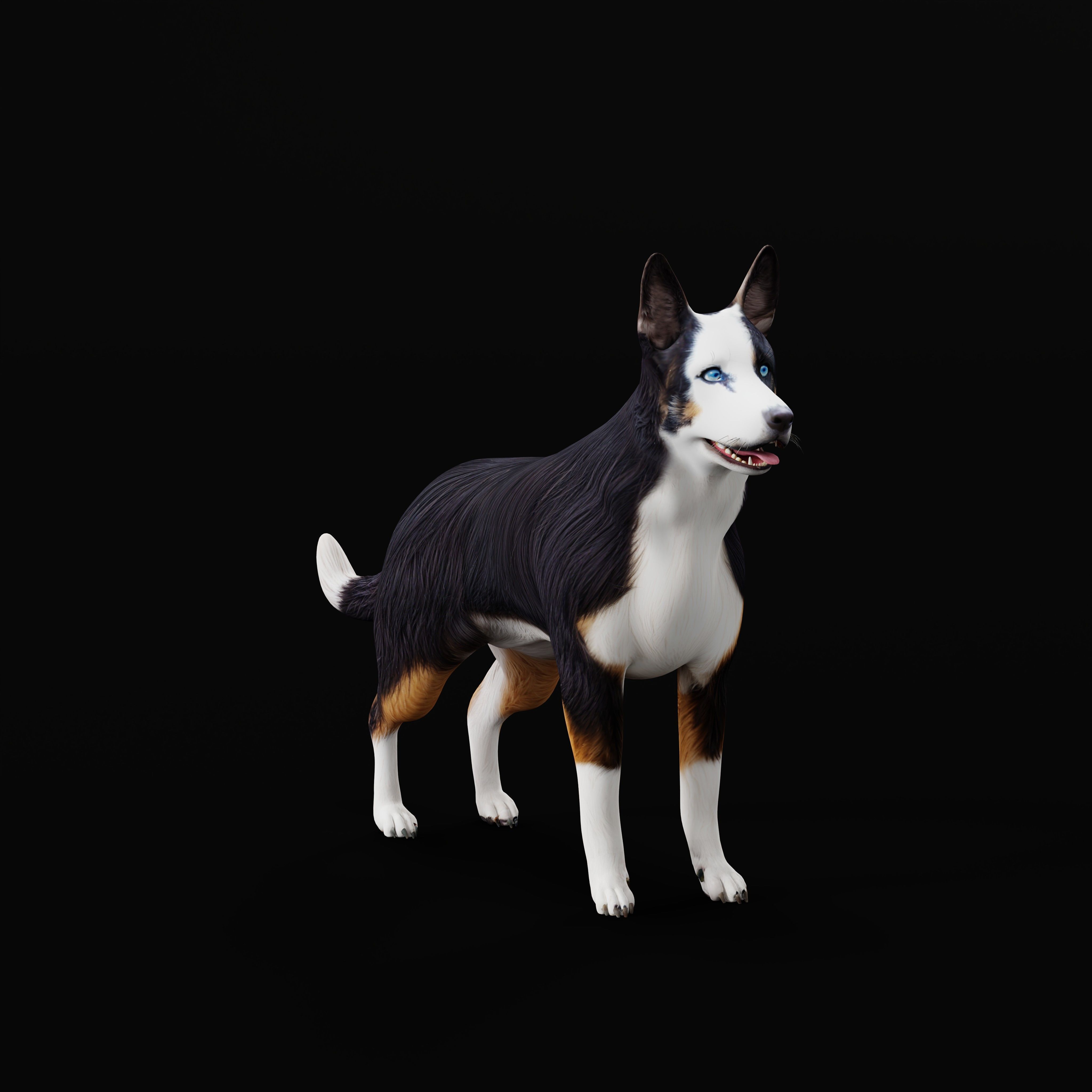 Panda German Shepherd Dog Low-poly 3D model_3
