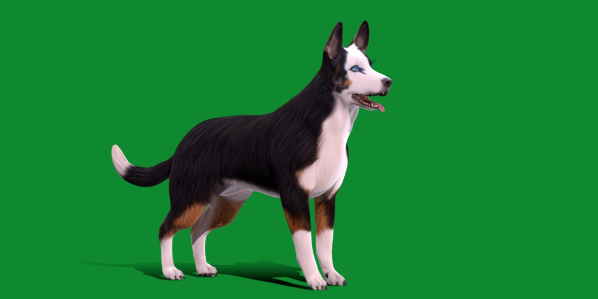Panda German Shepherd Dog Low-poly 3D model_35