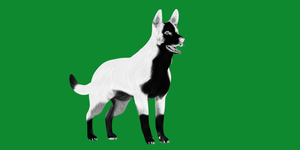 Panda German Shepherd Dog Low-poly 3D model_22