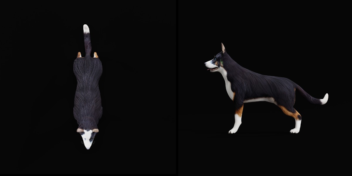 Panda German Shepherd Dog Low-poly 3D model_4