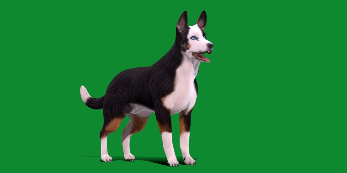 Panda German Shepherd Dog Low-poly 3D model_19