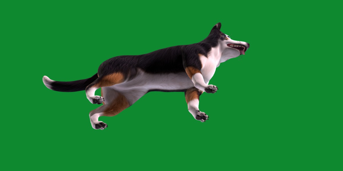 Panda German Shepherd Dog Low-poly 3D model_40