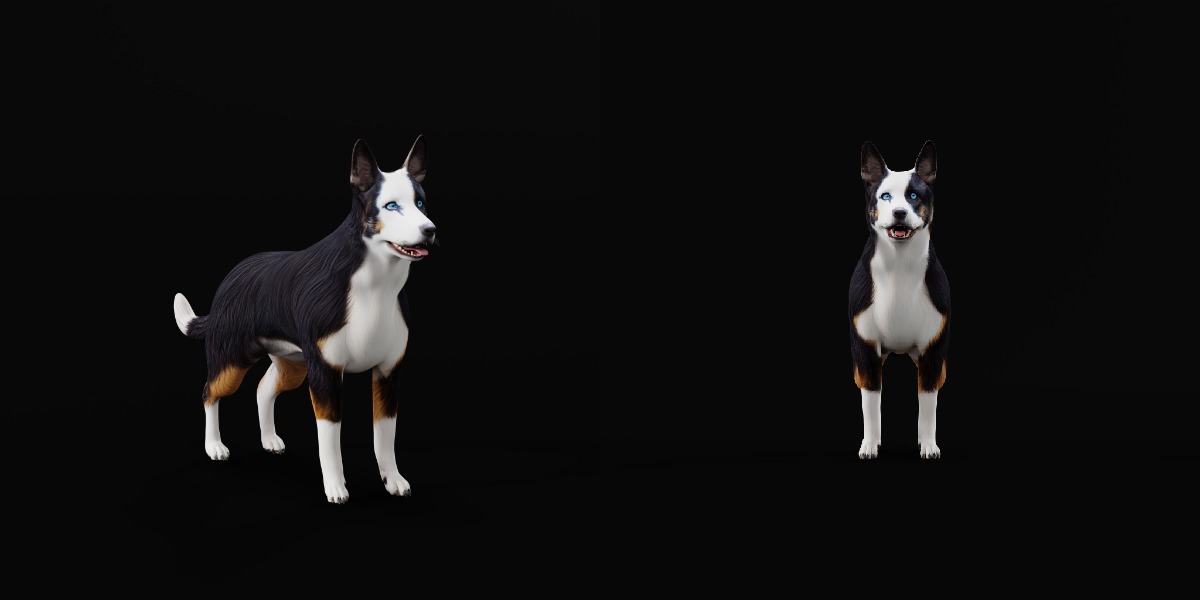 Panda German Shepherd Dog Low-poly 3D model_8