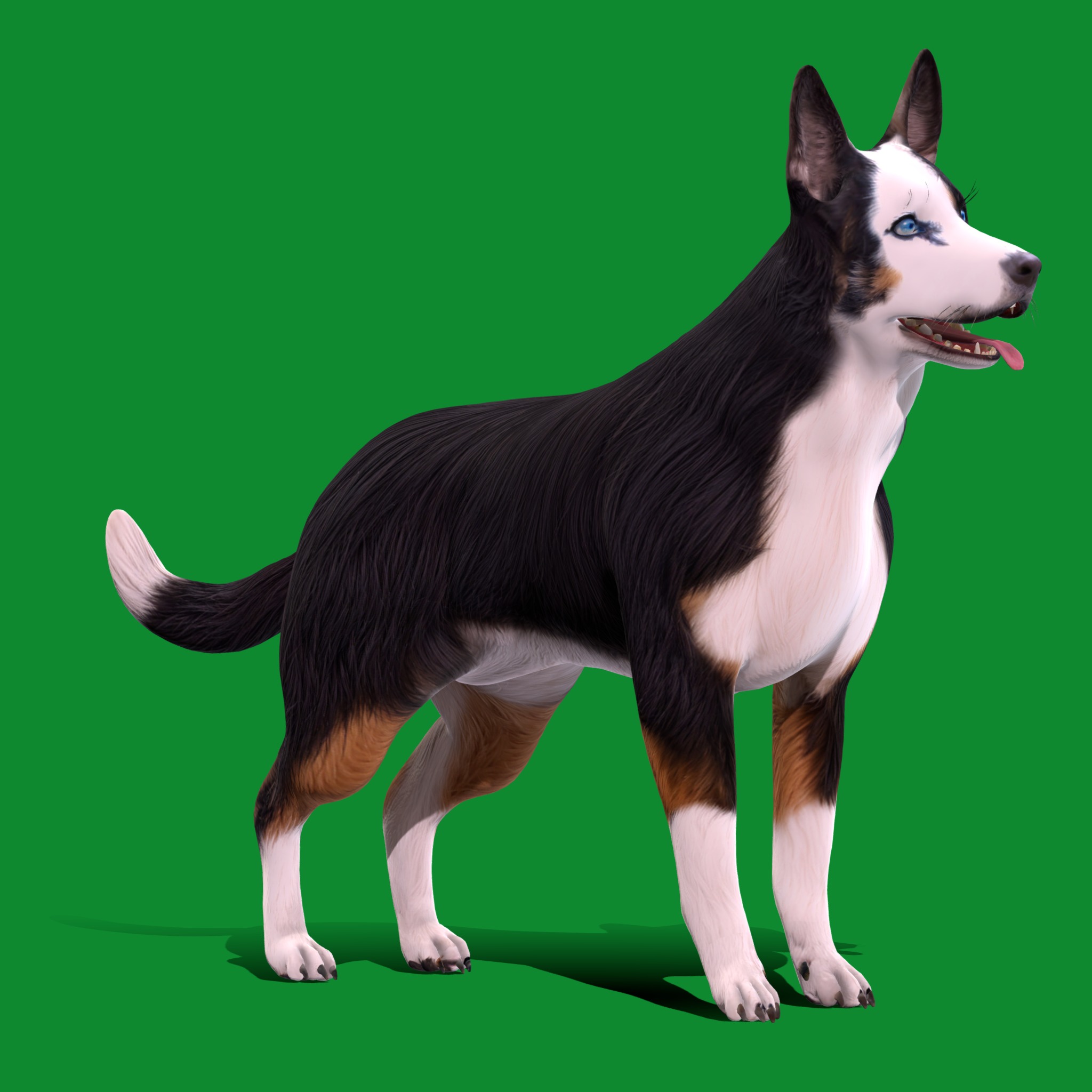 Panda German Shepherd Dog Low-poly 3D model_2