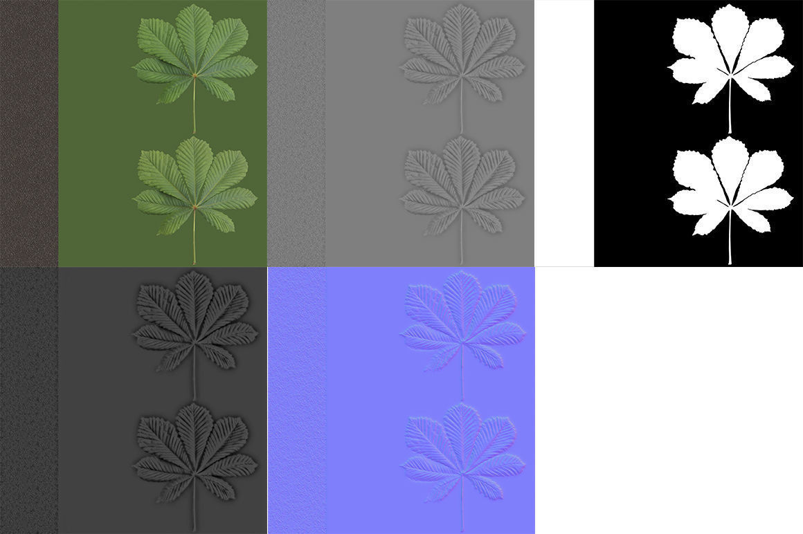 Horsechestnut Branch V2 3D model_7