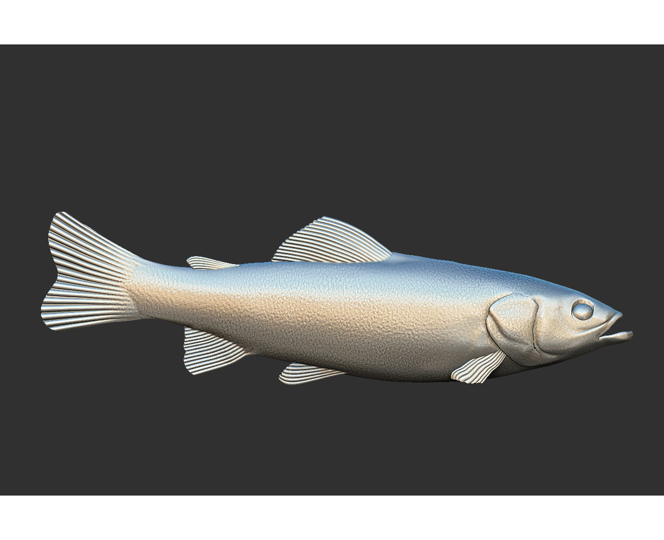 fish sea 3D print model_6