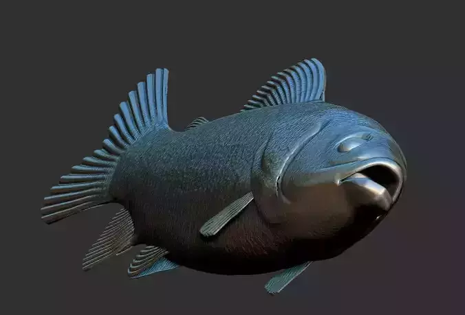 fish sea 3D print model