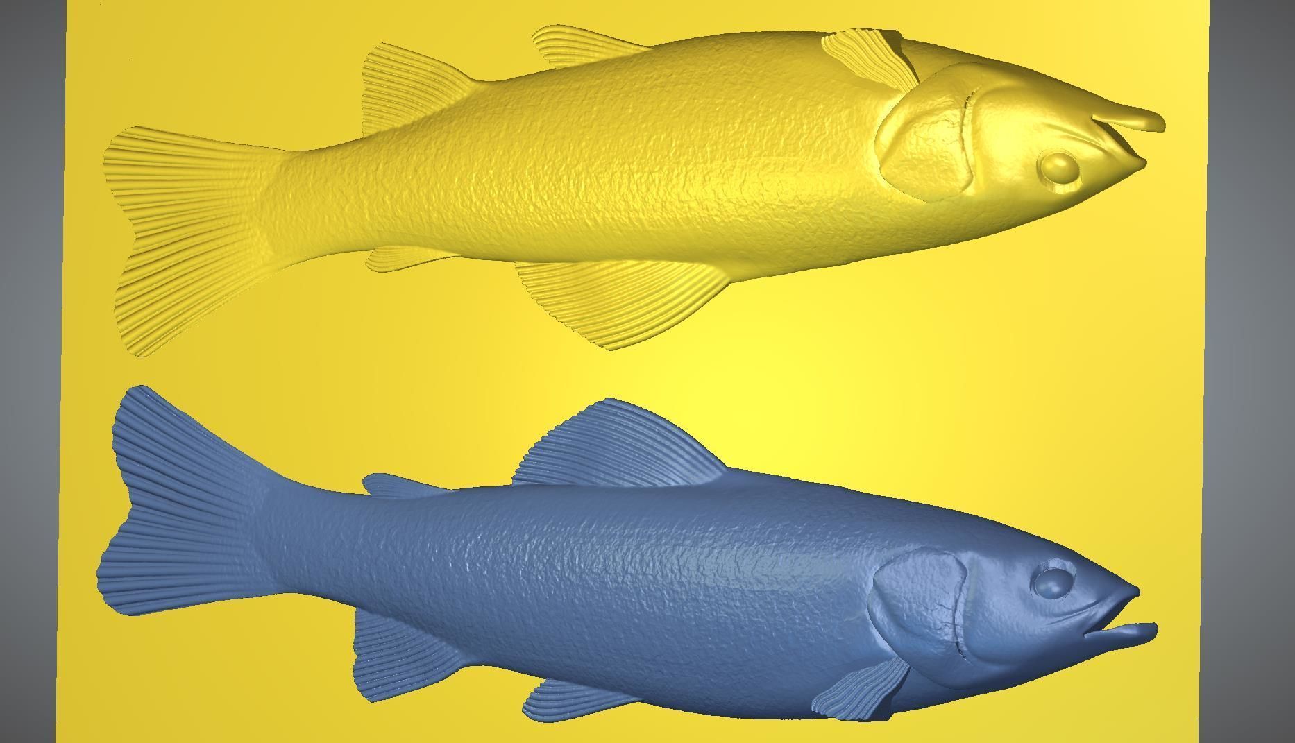 fish sea 3D print model_4