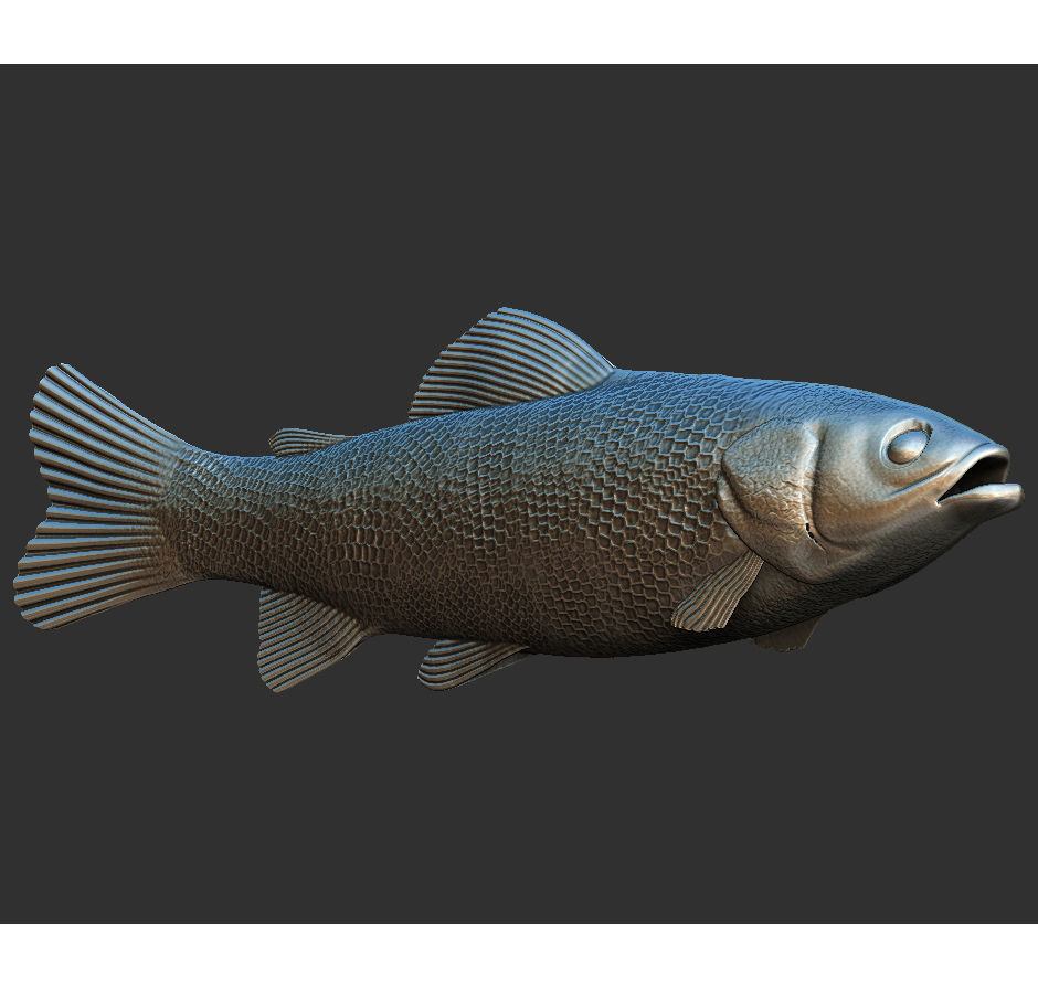 fish sea 3D print model_8